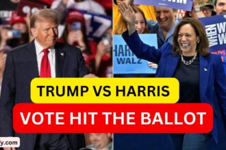 trump vs harris