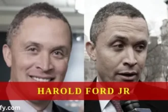 Harold Ford Jr. Net Worth