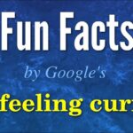 Fun Facts by Google's I'm Feeling Curious Feature