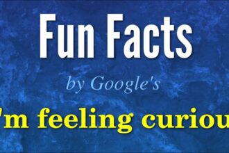 Fun Facts by Google's I'm Feeling Curious Feature