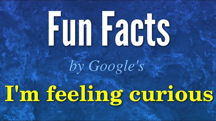 Fun Facts by Google's I'm Feeling Curious Feature