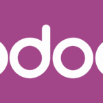 Odoo Partner in Pakistan